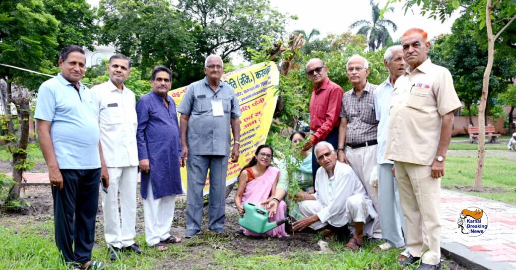 treeplantation